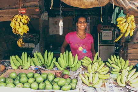 Sri Lanka Highlights tour