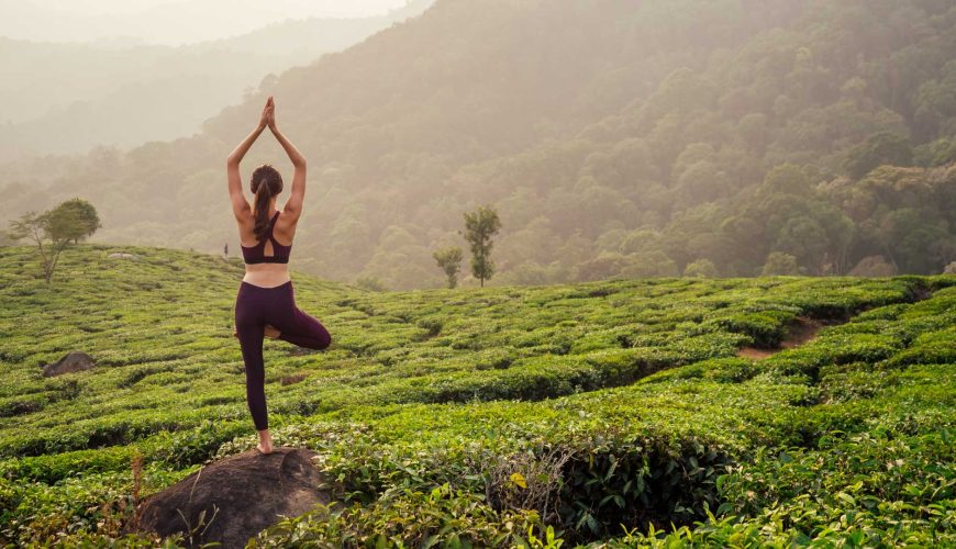 Digital Detox in Sri Lanka