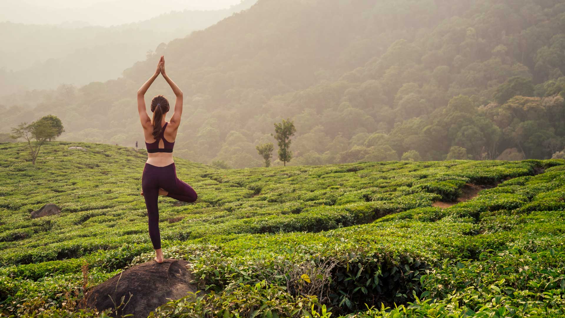 Digital Detox in Sri Lanka
