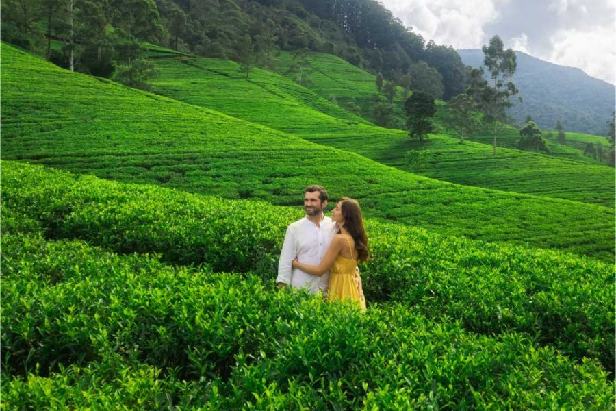 Short stay in Sri Lanka (04 Days)